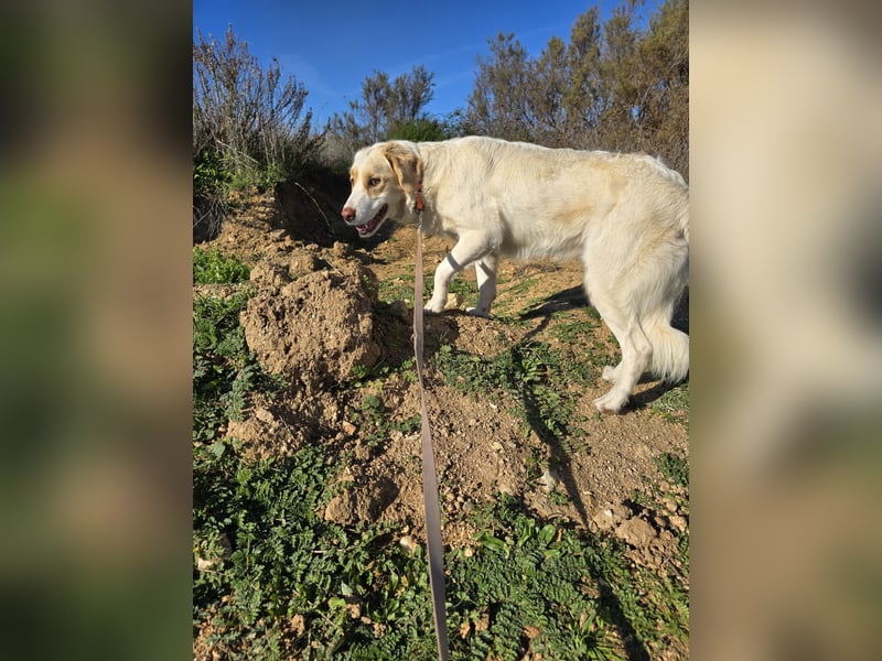 Naya: plötzlich einsam und allein