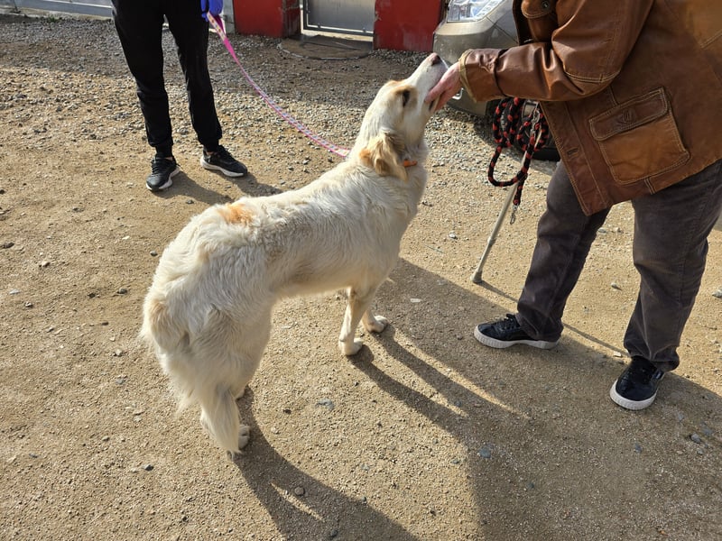 Naya: plötzlich einsam und allein