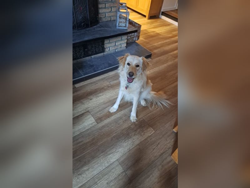 ELLA - die hübsche Maus sucht ein liebevolles neues Zuhause.