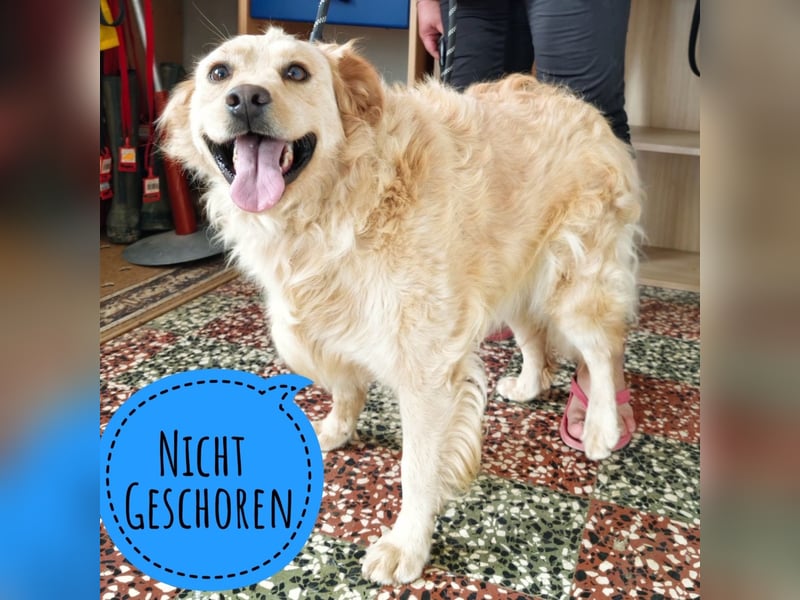 Franko ein Freund fürs Leben