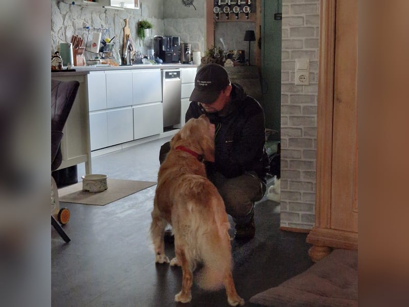 Kolbasz ( Maya), super liebe Golden Retriever Hündin geb. 01/2018