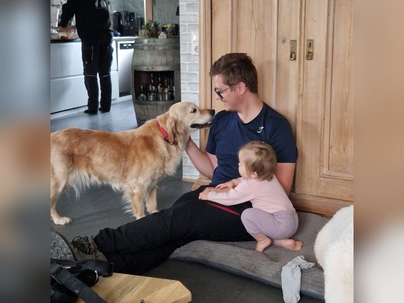 Kolbasz ( Maya), super liebe Golden Retriever Hündin geb. 01/2018