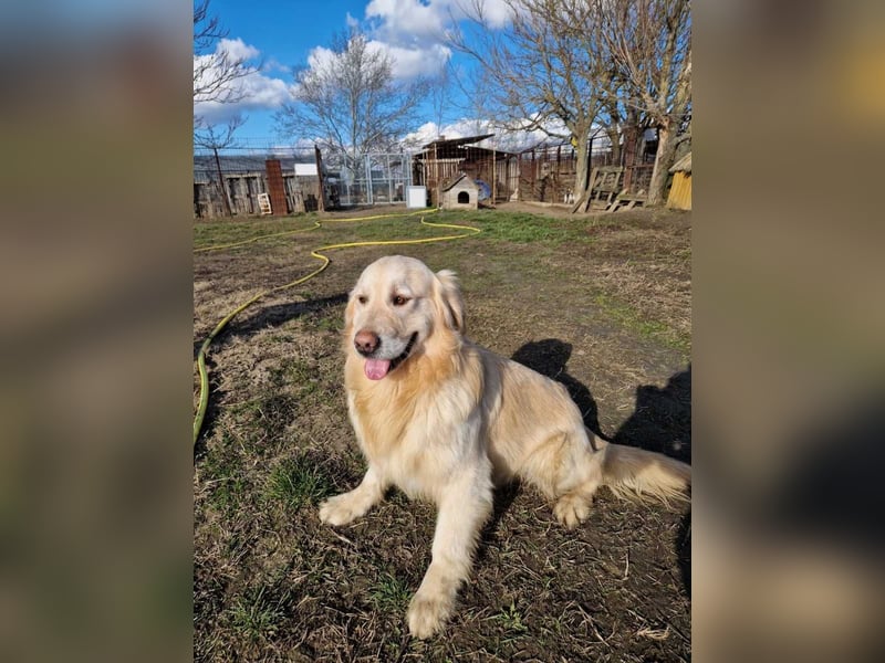 Jonathan Sensibelchen