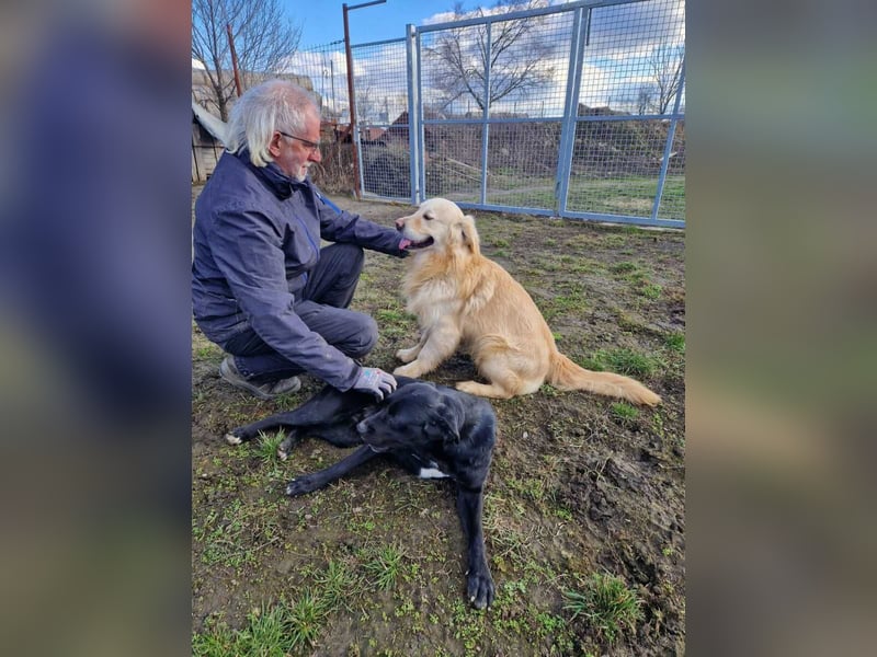 Jonathan Sensibelchen