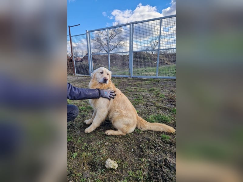 Jonathan Sensibelchen