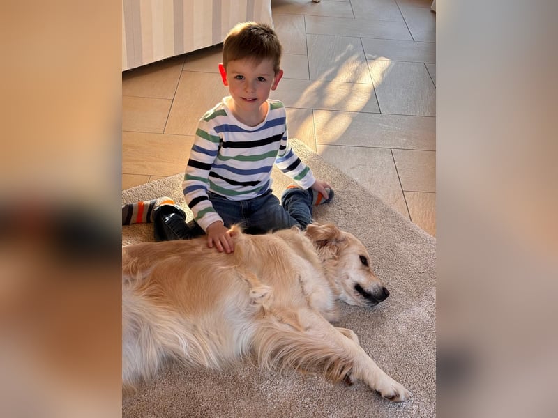 Wurfplanung Golden Retriever vom Kronenhofe 2026