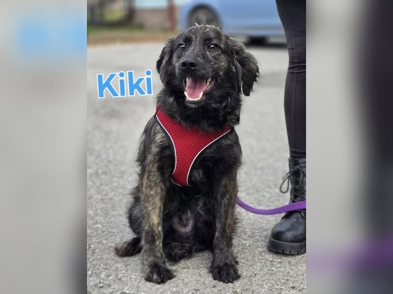 ❤️ Kiki
