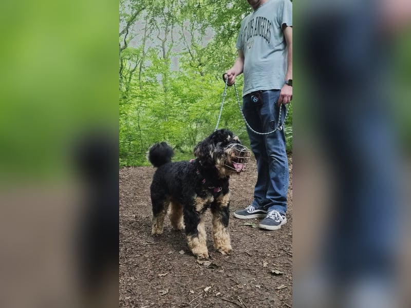 Yaari sucht erfahrene Menschen