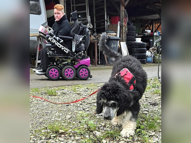 Lockenkind Smoky sucht sein Kuschelkörbchen