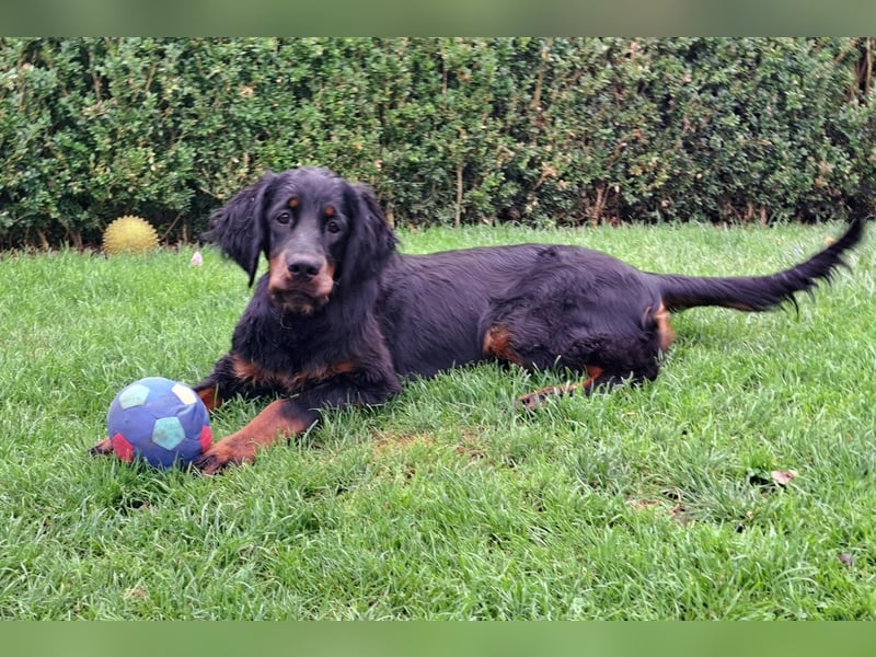 Die liebenswerte anschmiegsame Sheila sucht Lebenspartner
