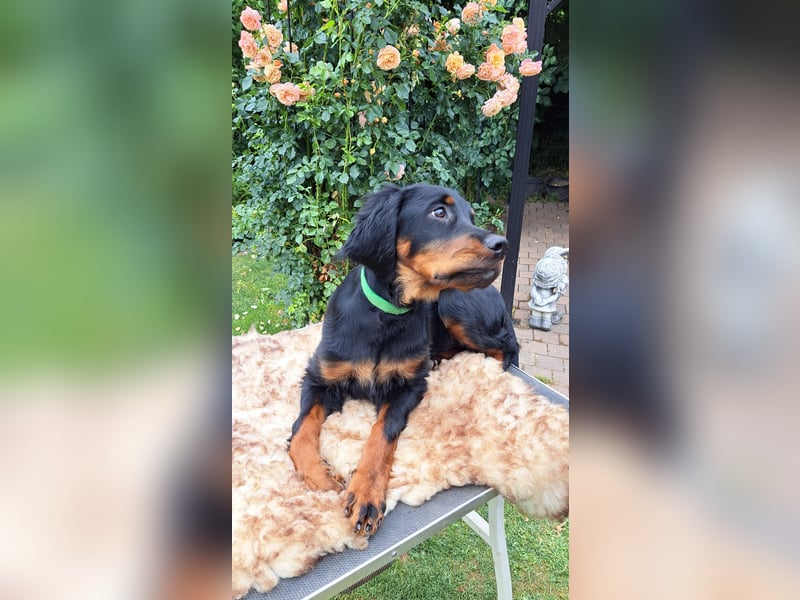 Die liebenswerte anschmiegsame Sheila sucht Lebenspartner