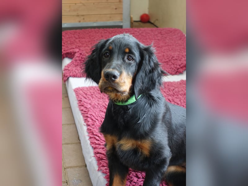 Die liebenswerte anschmiegsame Sheila sucht Lebenspartner