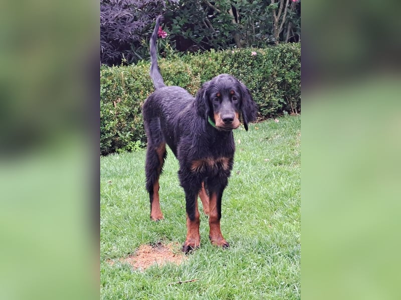 Die liebenswerte anschmiegsame Sheila sucht Lebenspartner