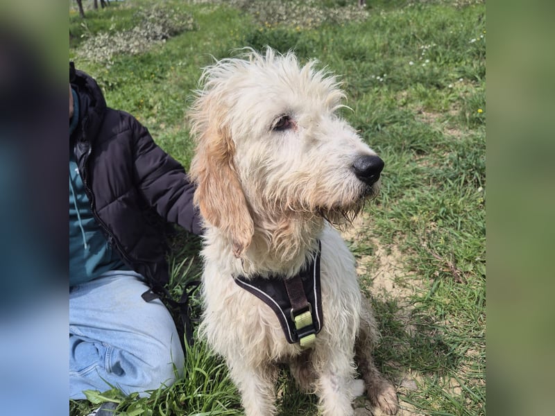 Oleg - ruhiger, feiner Bub