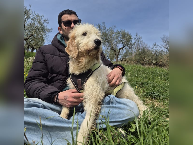 Oleg - ruhiger, feiner Bub