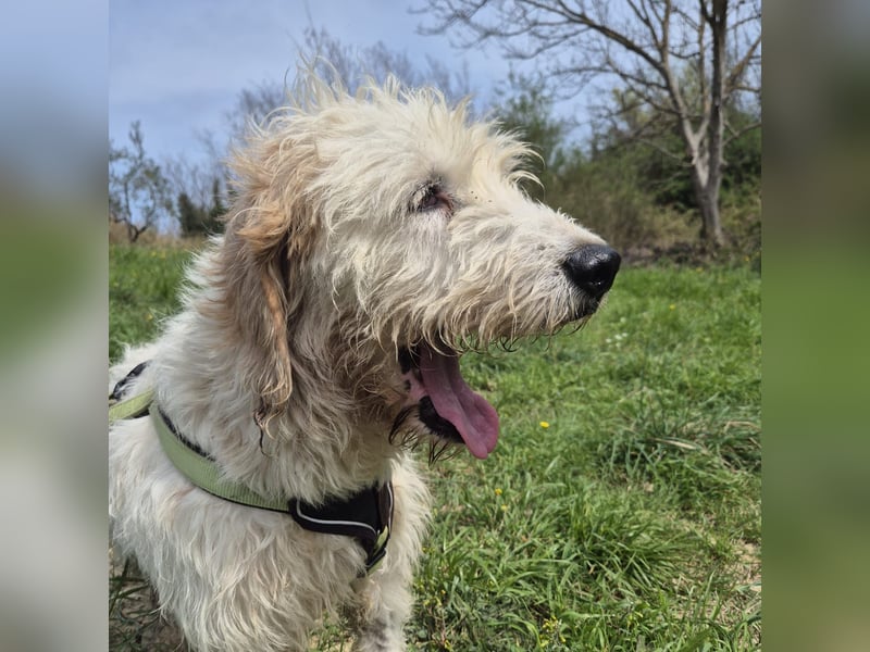 Oleg - ruhiger, feiner Bub