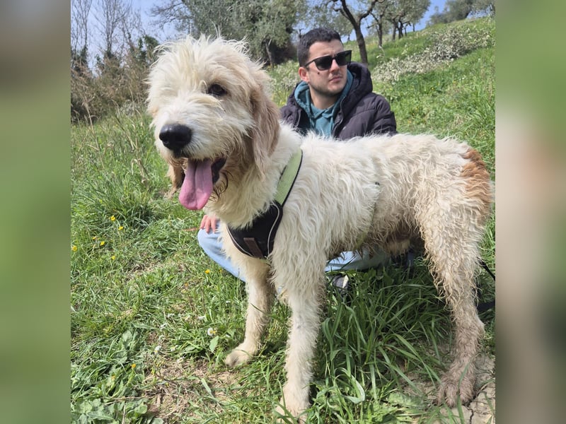 Oleg - ruhiger, feiner Bub