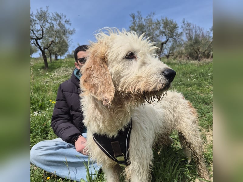 Oleg - ruhiger, feiner Bub