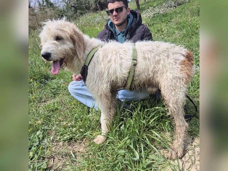 Oleg - ruhiger, feiner Bub