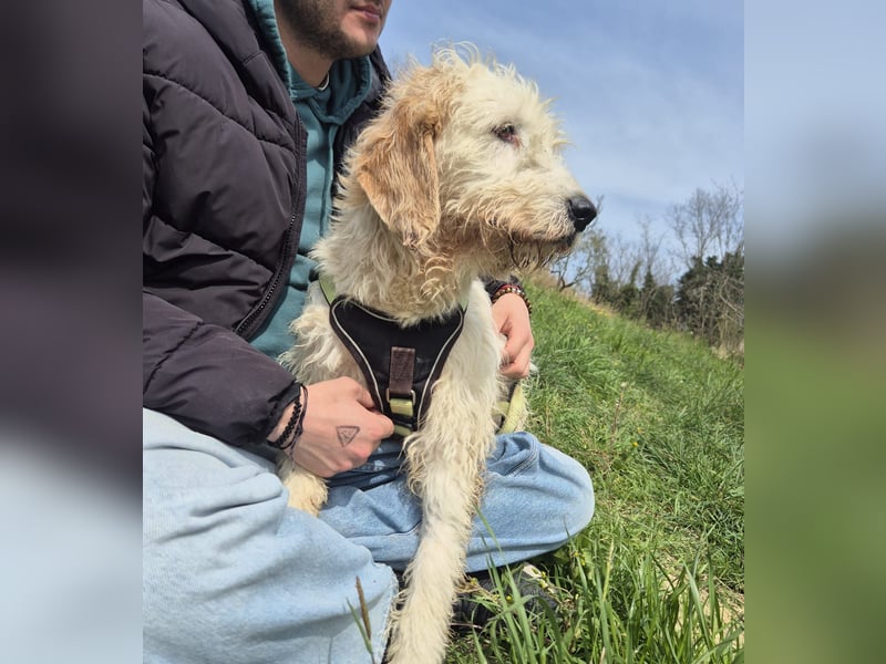 Oleg - ruhiger, feiner Bub