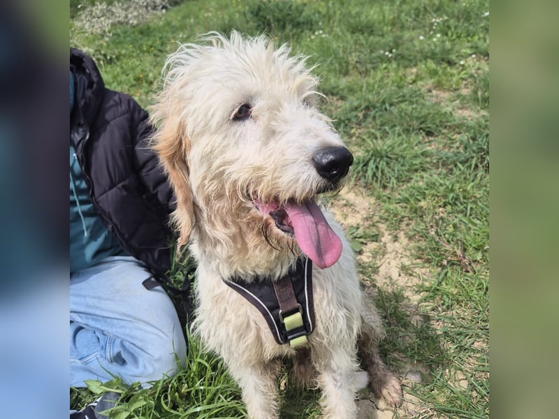 Oleg - ruhiger, feiner Bub