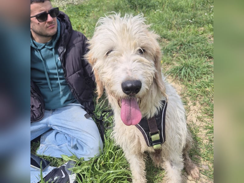 Oleg - ruhiger, feiner Bub