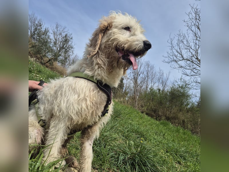 Oleg - ruhiger, feiner Bub