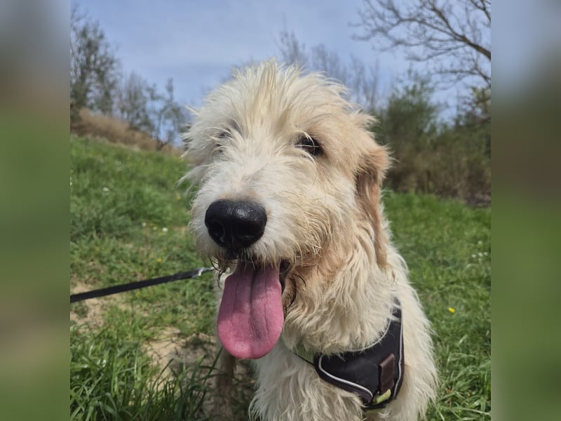 Oleg - ruhiger, feiner Bub