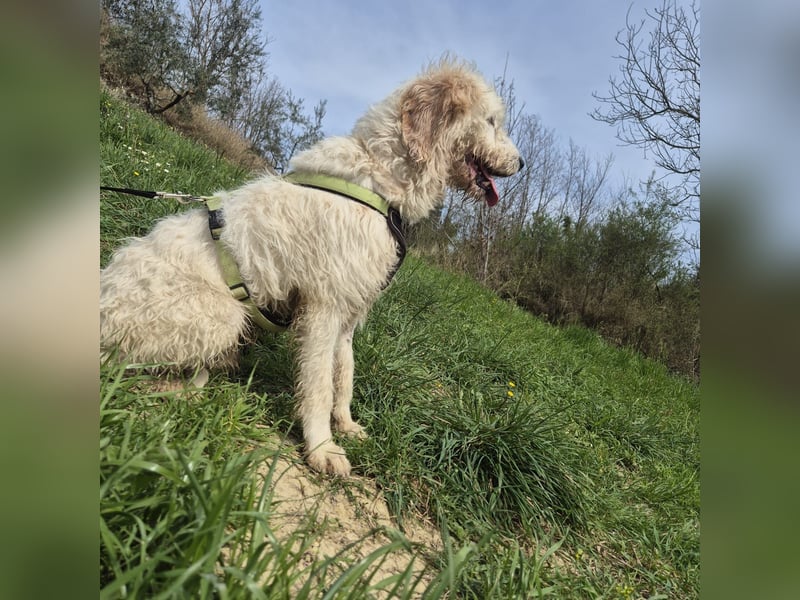 Oleg - ruhiger, feiner Bub