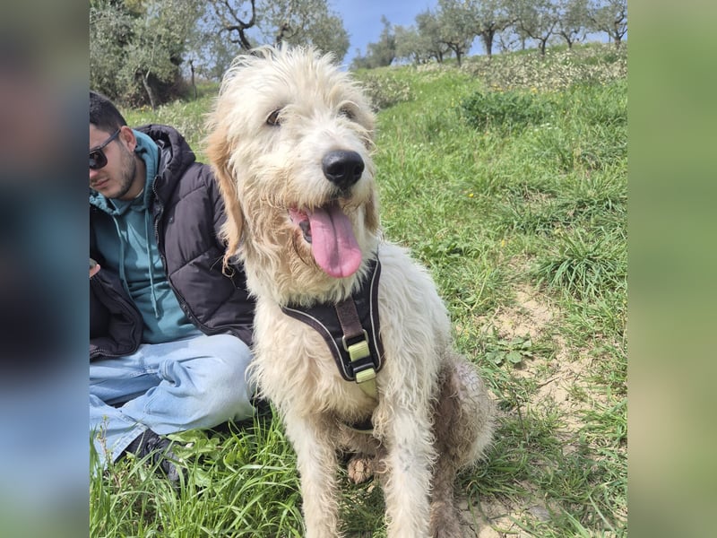 Oleg - ruhiger, feiner Bub