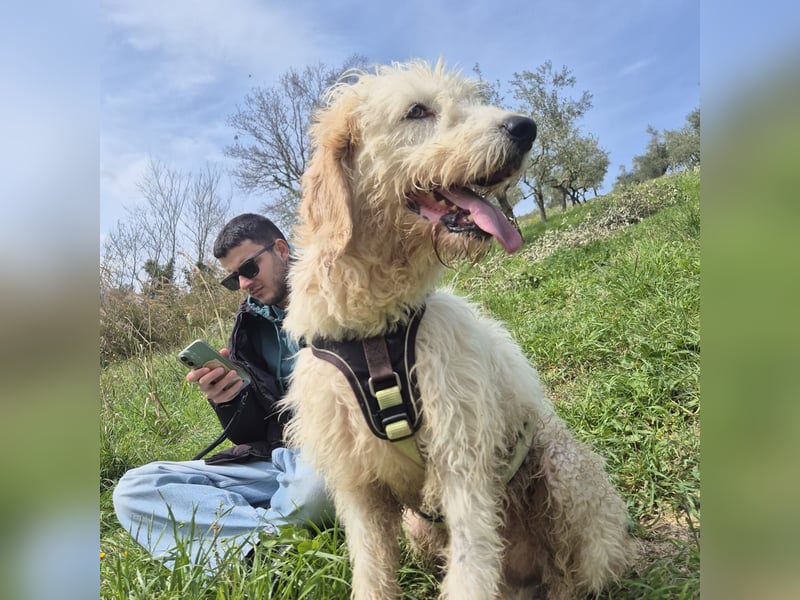 Oleg - ruhiger, feiner Bub