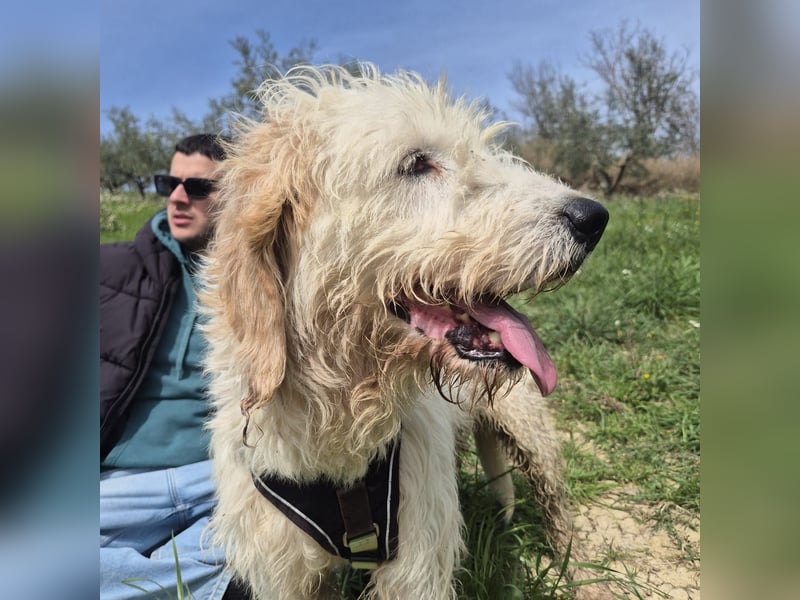 Oleg - ruhiger, feiner Bub