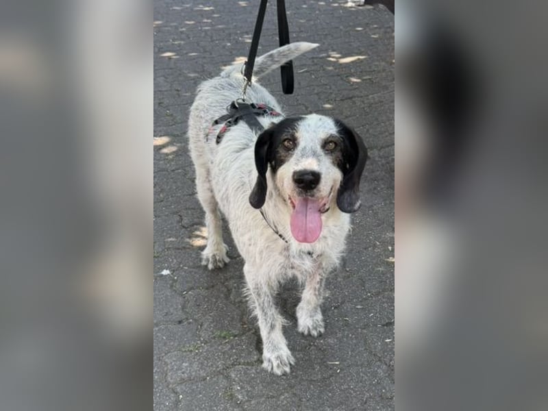 Luna möchte endlich ankommen dürfen…