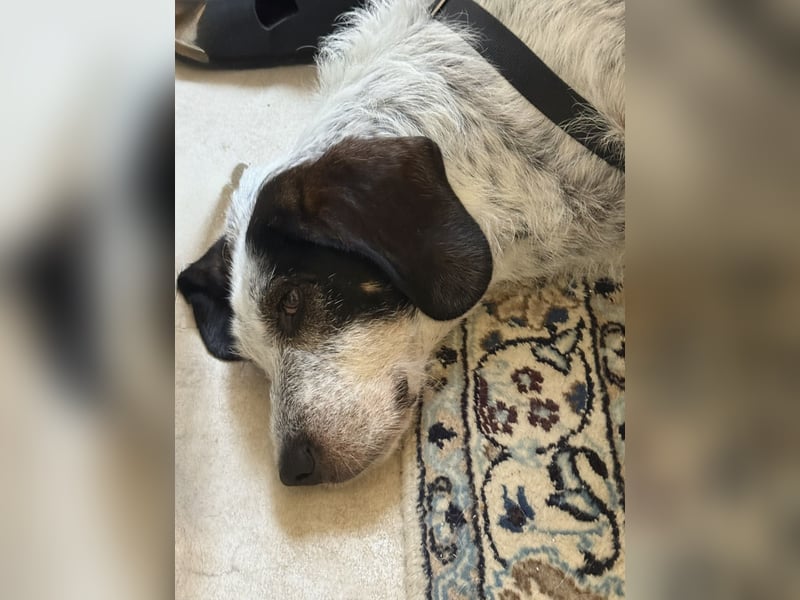 Luna möchte endlich ankommen dürfen…