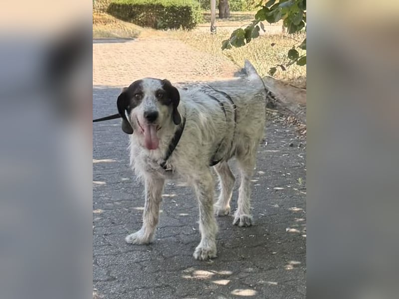 Luna möchte endlich ankommen dürfen…