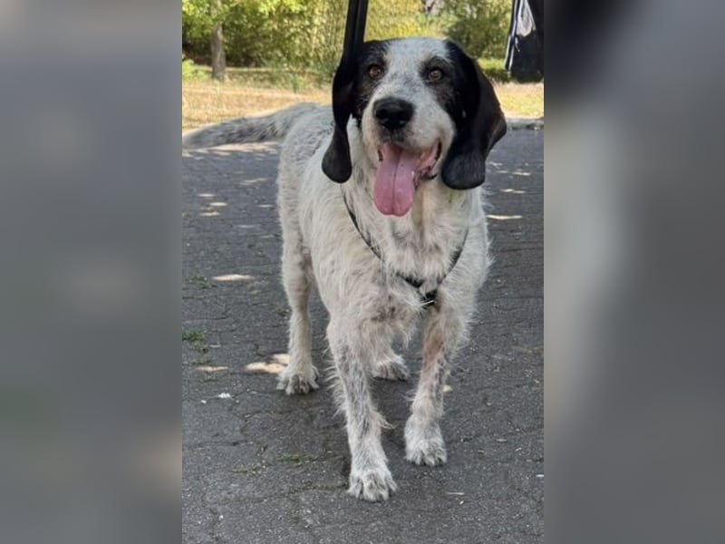 Luna möchte endlich ankommen dürfen…