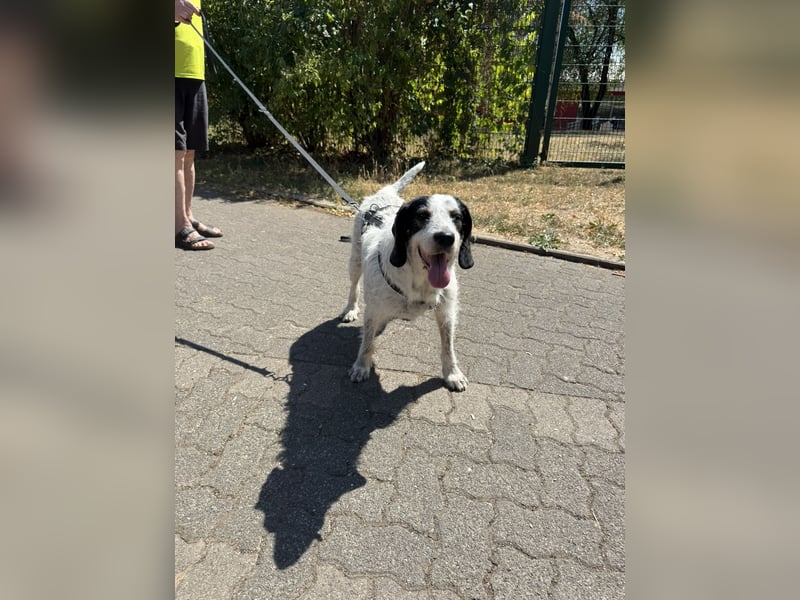 Luna möchte endlich ankommen dürfen…