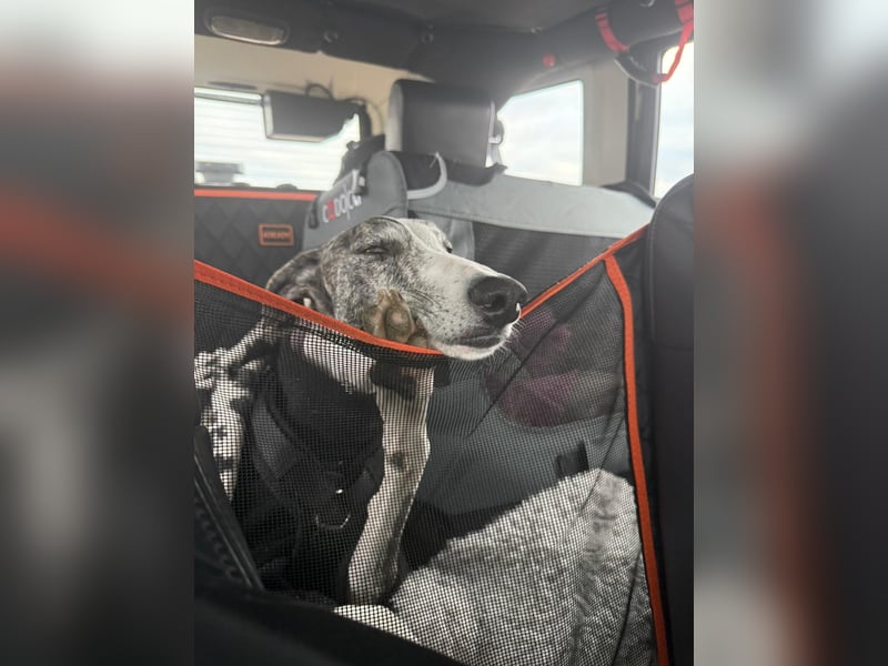 Hypathia - kontaktfreudig und freundlich