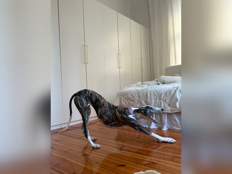 Hypathia - kontaktfreudig und freundlich