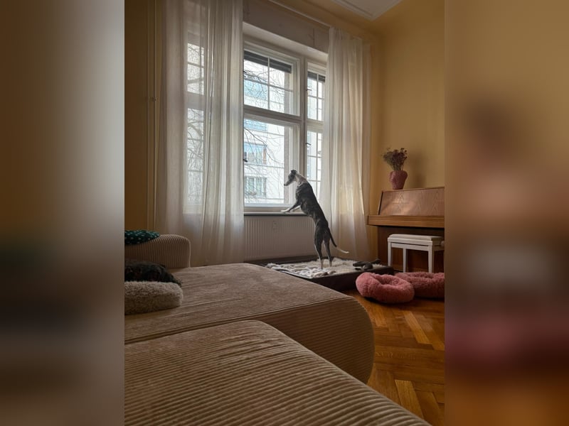 Hypathia - kontaktfreudig und freundlich