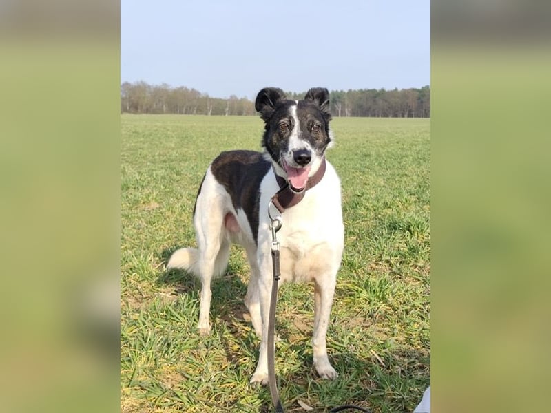 Chiquita, die hübsche braucht unbedingt einen ruhigen Platz