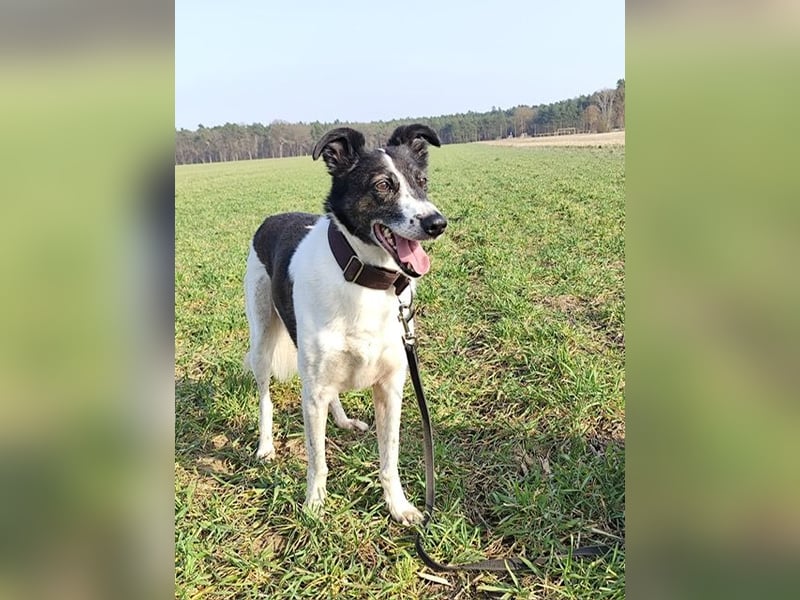 Chiquita, die hübsche braucht unbedingt einen ruhigen Platz