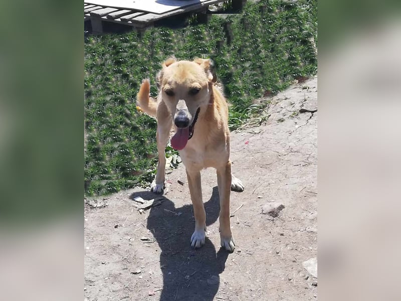 Leonie, auf Pflege in Halle/Westfalen