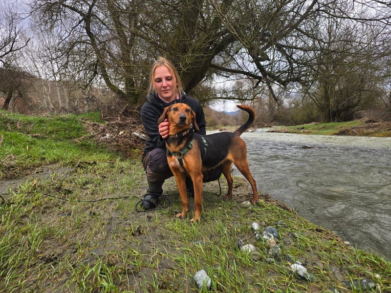 Malou – Manche Hunde tragen Narben.
