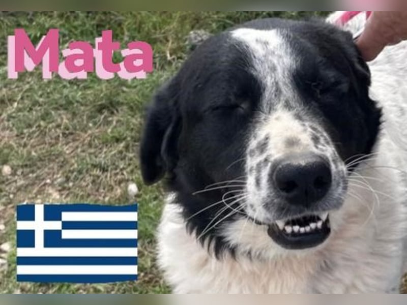 Mata, 09/23 - hübsche Begleiterin sucht ihren Menschenfreund
