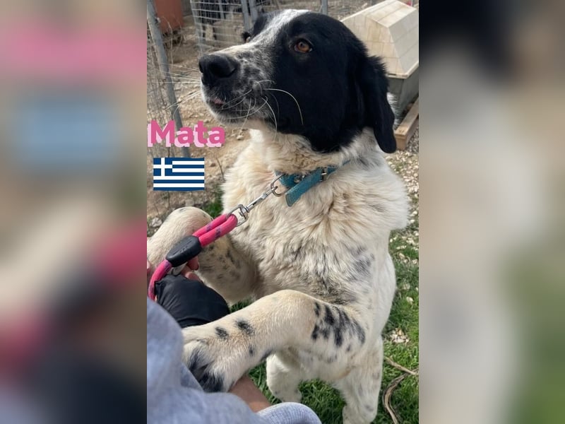 Mata, 09/23 - hübsche Begleiterin sucht ihren Menschenfreund