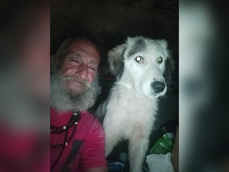 Parvati, schöne Junghündin sucht HSH erfahrenes Zuhause