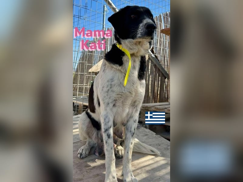 Flori, 02/25 - sucht im Mai eine Familie