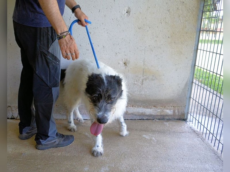 Bahul - Leider, leider, leider....