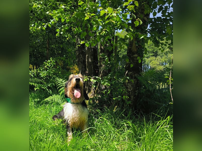 Rus